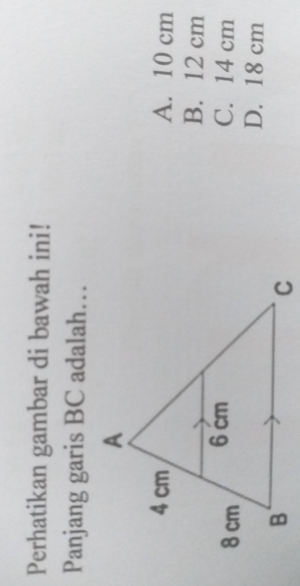 Perhatikan gambar di bawah ini!
Panjang garis BC adalah…
A. 10 cm
B. 12 cm
C. 14 cm
D. 18 cm