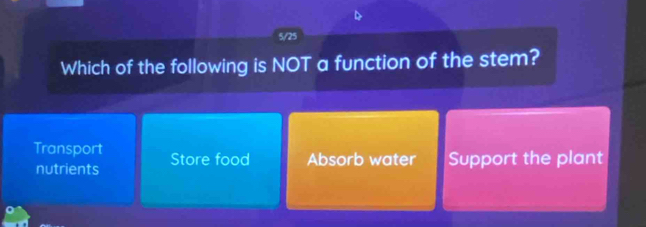 5/25
Which of the following is NOT a function of the stem?
Transport Store food Absorb water Support the plant
nutrients