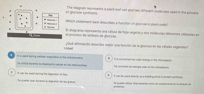 The diagram represents a plant leaf cell and two different molecules used in the process
。 of glucose synthesis.
Key
Molecule 1 Which statement best describes a function of glucose in plant cells?
。 。 Molecule 2
▲ Glucose El diagrama representa una célula de hoja vegetal y dos moléculas diferentes utilizadas en
Zoom el proceso de síntesis de glucosa.
¿Qué afirmación describe mejor una función de la glucosa en las células vegetales?
1 POINT
A It is used during cellular respiration in the mitochondria. B ) It is converted into solar energy in the chloroplasts.
Se utiliza durante la respiración celular en las mitocondrias. Se convierte en energía solar en los cloroplastos.
C ) It can be used during the digestion of fats. J It can be used directly as a building block in protein synthesis.
D
Se puede usar durante la digestión de las grasas. Se puede utilizar directamente como un componente en la síntesis de
proteínas.