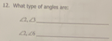 What type of angles are:
∠ 2, ∠ 3
_ 
_
∠ 2, ∠ 6