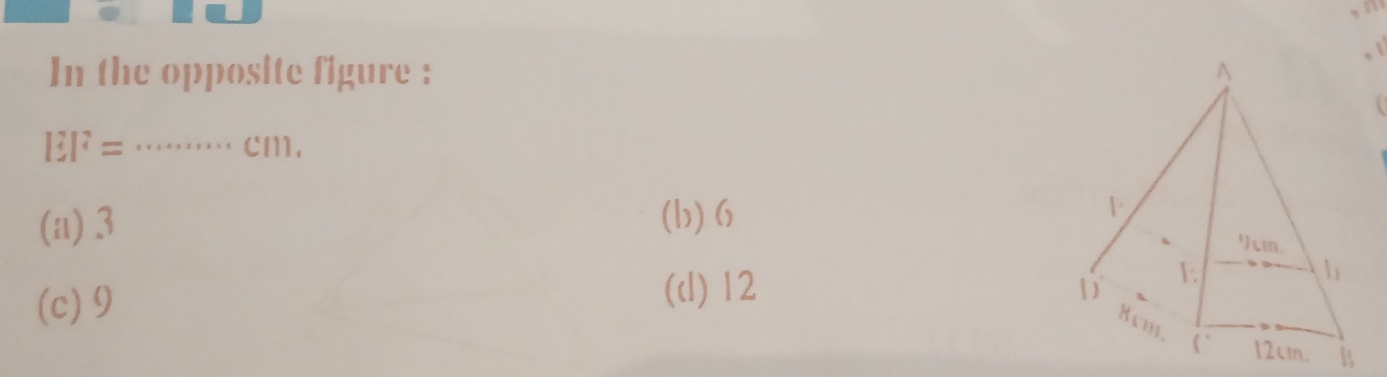 In the opposite figure :

EI^?= .... cm.
(a) 3
(b) 6
(c) 9
(d) 12