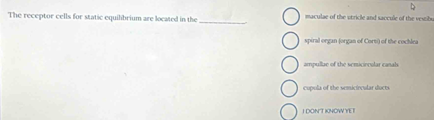 maculae of the utricle and saccule of the vestibe
The receptor cells for static equilibrium are located in the_ .
spiral organ (organ of Corti) of the cochlea
ampullae of the semicircular canals
cupula of the semicircular ducts
J DON'T KNOW YET
