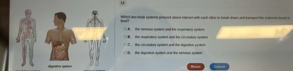 Which two body systems pictured above interact with each other to break down and transport the nutrients found in
food ?
A. the nervous system and the respiratory system
B. the respiratory system and the circulatory system
C. the circulatory system and the digestive system
D. the digestive system and the nervous system
Reset Submit