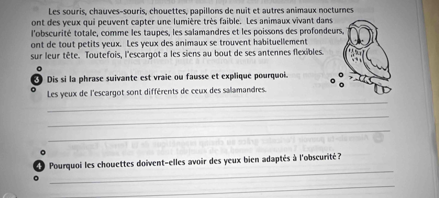 Les souris, chauves-souris, chouettes, papillons de nuit et autres animaux nocturnes 
ont des yeux qui peuvent capter une lumière très faible. Les animaux vivant dans 
l'obscurité totale, comme les taupes, les salamandres et les poissons des profonde 
ont de tout petits yeux. Les yeux des animaux se trouvent habituellement 
sur leur tête. Toutefois, l'escargot a les siens au bout de ses antennes flexibles. 
。 
Dis si la phrase suivante est vraie ou fausse et explique pourquoi. 
_ 
。 Les yeux de l'escargot sont différents de ceux des salamandres. 
_ 
_ 
。 
_ 
4 Pourquoi les chouettes doivent-elles avoir des yeux bien adaptés à l'obscurité? 
_