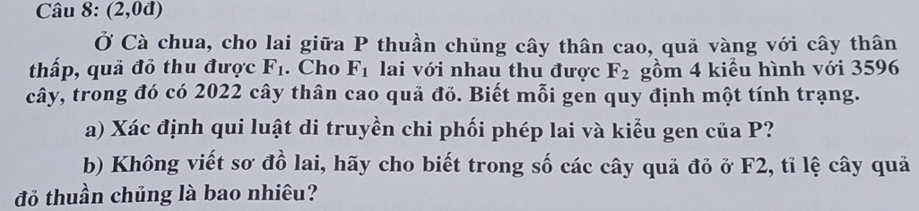 (2, 0đ) 
Ở Cà chua, cho lai giữa P thuần chủng cây thân cao, quả vàng với cây thân 
thấp, quả đỏ thu được F_1. Cho F_1 lai với nhau thu được F_2 gồm 4 kiểu hình với 3596
cây, trong đó có 2022 cây thân cao quả đỏ. Biết mỗi gen quy định một tính trạng. 
a) Xác định qui luật di truyền chi phối phép lai và kiểu gen của P? 
b) Không viết sơ đồ lai, hãy cho biết trong số các cây quả đỏ ở F2, tỉ lệ cây quả 
đỏ thuần chủng là bao nhiêu?