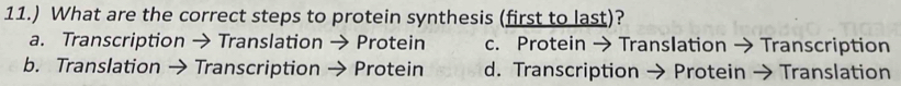 11.) What are the correct steps to protein synthesis (first to last)?
a. Transcription → Translation → Protein c. Protein → Translation → Transcription
b. Translation → Transcription → Protein d. Transcription → Protein → Translation