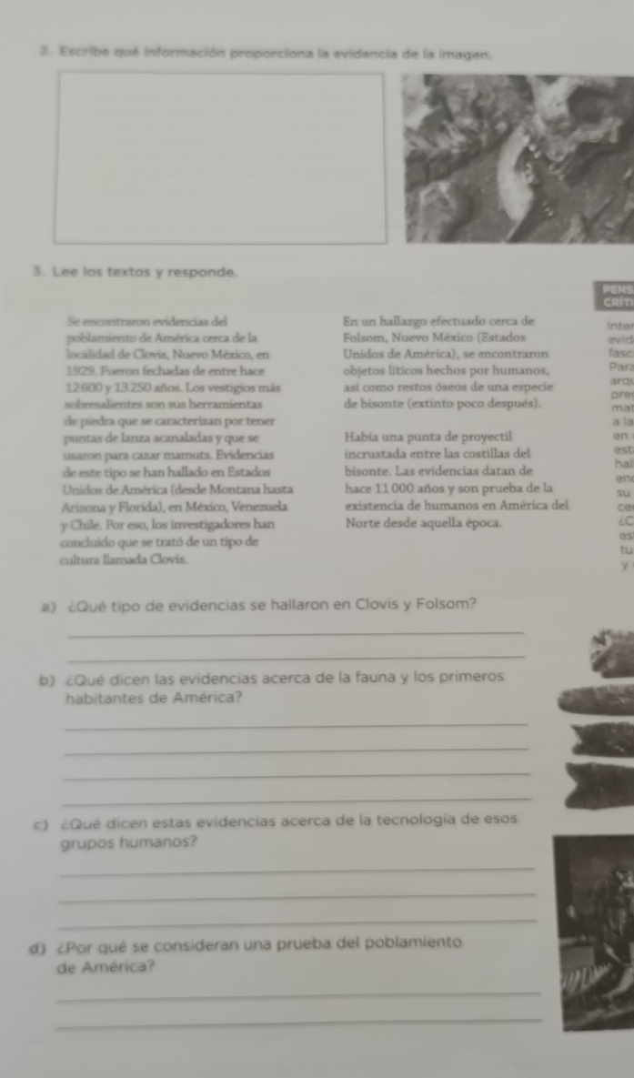 Escribe qué información proporciona la evidencia de la imagen. 
3. Lee los textos y responde. 
PENS 
CRITI 
Se encontraron evidencias del En un hallazgo efectuado cerca de Inter 
poblamiento de América cerca de la Folsom, Nuevo México (Estados evid 
localidad de Clovis, Nuevo México, en Unidos de América), se encontraron fasc 
1929. Fueron fechadas de entre hace objetos líticos hechos por humanos, Par arq
12 600 y 13 250 años. Los vestigios más así como restos óseos de una especie 
sobresalientes son sus herramientas de bisonte (extinto poco después). mat ore 
de píedra que se caracterizan por tener a la 
puntas de lanza acanaladas y que se Había una punta de proyectil en 
usaron para cazar mamuts. Evidencias incrustada entre las costillas del est 
de este tipo se han hallado en Estados bisonte. Las evidencias datan de hal 
en 
Unidos de América (desde Montana hasta hace 11 000 años y son prueba de la su 
Arizona y Florida), en México, Venezuela existencia de humanos en América del ca 
y Chile. Por eso, los investigadores han Norte desde aquella época. ¿C 
concluido que se trató de un tipo de 
as 
tu 
cultura llamada Clovis. 
y 
a) ¿Qué tipo de evidencias se hallaron en Clovis y Folsom? 
_ 
_ 
b) ¿Qué dicen las evidencias acerca de la fauna y los primeros 
habitantes de América? 
_ 
_ 
_ 
_ 
c) ¿Qué dicen estas evidencias acerca de la tecnología de esos 
grupos humanos? 
_ 
_ 
_ 
d) ¿Por quê se consideran una prueba del poblamiento 
de América? 
_ 
_