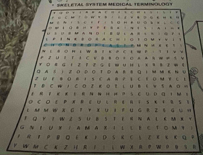 SKELETAL SYSTEM MEDICAL TERMINOLOGY 
I