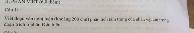 PHAN VIET (6, 0 điểm) 
Câu 1: 
Viết đoạn văn nghị luận (khoảng 200 chữ) phân tích tâm trạng của nhân vật chị trong 
đoạn trích ở phần Đợc hiểu.