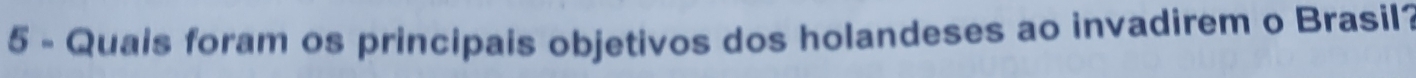 Quais foram os principais objetivos dos holandeses ao invadirem o Brasil?