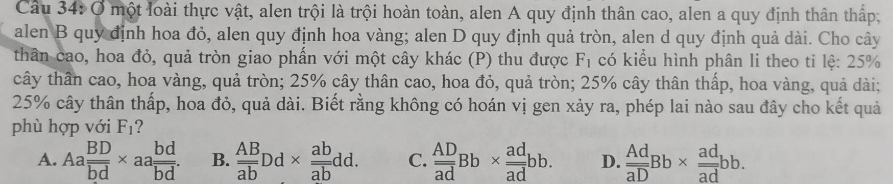 Ở một loài thực vật, alen trội là trội hoàn toàn, alen A quy định thân cao, alen a quy định thân thấp;
alen B quy định hoa đỏ, alen quy định hoa vàng; alen D quy định quả tròn, alen d quy định quả dài. Cho cây
thân cao, hoa đỏ, quả tròn giao phần với một cây khác (P) thu được F_1 có kiểu hình phân li theo ti lệ: 25%
cây thần cao, hoa vàng, quả tròn; 25% cây thân cao, hoa đỏ, quả tròn; 25% cây thân thấp, hoa vàng, quả dài;
25% cây thân thấp, hoa đỏ, quả dài. Biết rằng không có hoán vị gen xảy ra, phép lai nào sau đây cho kết quả
phù hợp với F_1 ?
A. Aa BD/bd * aa bd/bd . B.  AB/ab Dd*  ab/ab dd. C.  AD/ad Bb*  ad/ad bb. D. frac Adoverline aDBb* frac adoverline adbb.