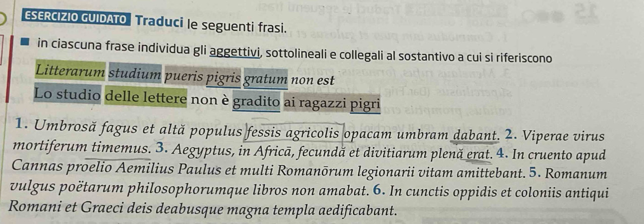 ESERCIZIO GUIDATO Traduci le seguenti frasi. 
in ciascuna frase individua gli aggettivi, sottolineali e collegali al sostantivo a cui si riferiscono 
Litterarum studium pueris pigris gratum non est 
Lo studio delle lettere non è gradito ai ragazzi pigri 
1. Umbrosă fagus et altă populus fessis agricolis opacam umbram dabant. 2. Viperae virus 
mortiferum timemus. 3. Aegyptus, in Africā, fecundă et divitiarum plenă erat. 4. In cruento apud 
Cannas proelio Aemilius Paulus et multi Romanōrum legionarii vitam amittebant. 5. Romanum 
vulgus poëtarum philosophorumque libros non amabat. 6. In cunctis oppidis et coloniis antiqui 
Romani et Graeci deis deabusque magna templa aedificabant.