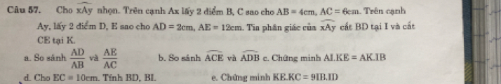 Cho widehat xAy nhọn. Trên cạnh Ax lấy 2 điểm B, C sao cho AB=4cm, AC=6cm. Trên cạnh
Ay, lify2dicmD , E são cho AD=2cm, AE=12cm 1. Tia phân giác của widehat xAy cất BD tại I và cất
CE tại K.
a. So sánh  AD/AB  và  AE/AC  b. So sánh widehat ACE và widehat ADB c. Chứng minh ALKE=AKIB
d. Cho EC=10cm. Tính BD, BI. e. Chứng minh KE.KC=9IB.ID