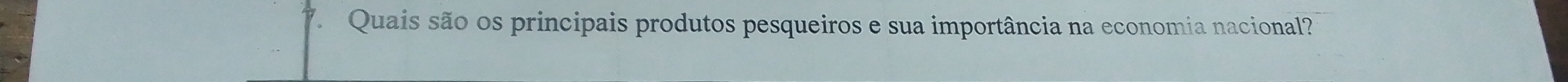 Quais são os principais produtos pesqueiros e sua importância na economia nacional?