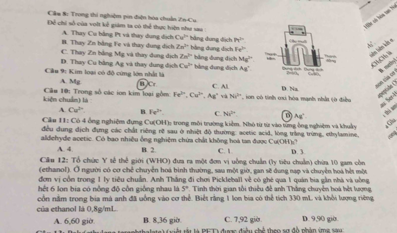 Trong thí nghiệm pin điện hóa chuản Zn-Cu.
Để chỉ số của volt kế giám ta có thể thực hiện như sau :
HBr có hòa tan N
A. Thay Cu bằng Pt và thay dung dịch Cu^(2+) bằng dung dịch Pt^(2+)
d .
B. Thay Zn bằng Fe và thay dung dịch Zn^(2+) bằng dung dịch Fe^(2+).
C. Thay Zn bằng Mg và thay dung dịch Zn^(2+) bằng dung dịch Mg^(2+)
liên liên kết a
*CH:CH₃ là
D. Thay Cu bằng Ag và thay dung dịch Cu^(2+) bảng dung dịch Ag^+.
Cầu 9: Kim loại có độ cứng lớn nhất là
A. Mg. B Cr C. Al. D. Na.
non của cơ B. methy
Câu 10: Trong số các ion kim loại gồm: Fe^(2+),Cu^(2+),Ag^+ và Ni^(2+) on có tinh oxi hỏa mạnh nhất (ở điều
kiện chuẩn) là:
au: Ser-l
A. Cu^(2+). B. Fe^(2+). C. Ni^(2+) D) Ag
thì am
Cầu 11: Có 4 ống nghiệm đựng Cu(OH)₂ trong môi trường kiểm. Nhỏ từ từ vào từng ống nghiệm và khuẩy a Glu
đều dung dịch đựng các chất riêng rẽ sau ở nhiệt độ thường: acetic acid, lòng trắng trừng, ethylamine, rong
aldehyde acetic. Có bao nhiêu ống nghiệm chứa chất không hoá tan được Cu(O H)₂?
A. 4. B. 2. C. 1. D. 3.
Câu 12: Tổ chức Y tế thể giới (WHO) đưa ra một đơn vị uống chuẩn (ly tiêu chuẩn) chứa 10 gam cồn
(ethanol). Ở người có cơ chế chuyển hoá bình thường, sau một giờ, gan sẽ dung nạp và chuyển hoá hết một
đơn vị cổn trong 1 ly tiêu chuẩn. Anh Thắng đi chơi Pickleball về có ghé qua 1 quán bia gần nhà và uồng
hết 6 Ion bia có nồng độ cồn giống nhau là 5°. Tinh thời gian tối thiểu đề anh Thắng chuyển hoá hết lượng
cổn nằm trong bia mả anh đã uống vào cơ thể. Biết rằng 1 lon bia có thể tích 330 mL và khối lượng riêng
của ethanol là 0,8g/mL.
A. 6,60 giờ. B. 8,36 giờ. C. 7,92 giờ. D. 9,90 giờ.
late) (viết tắt là PFT) được điều chế theo sơ đồ phản ứng sau: