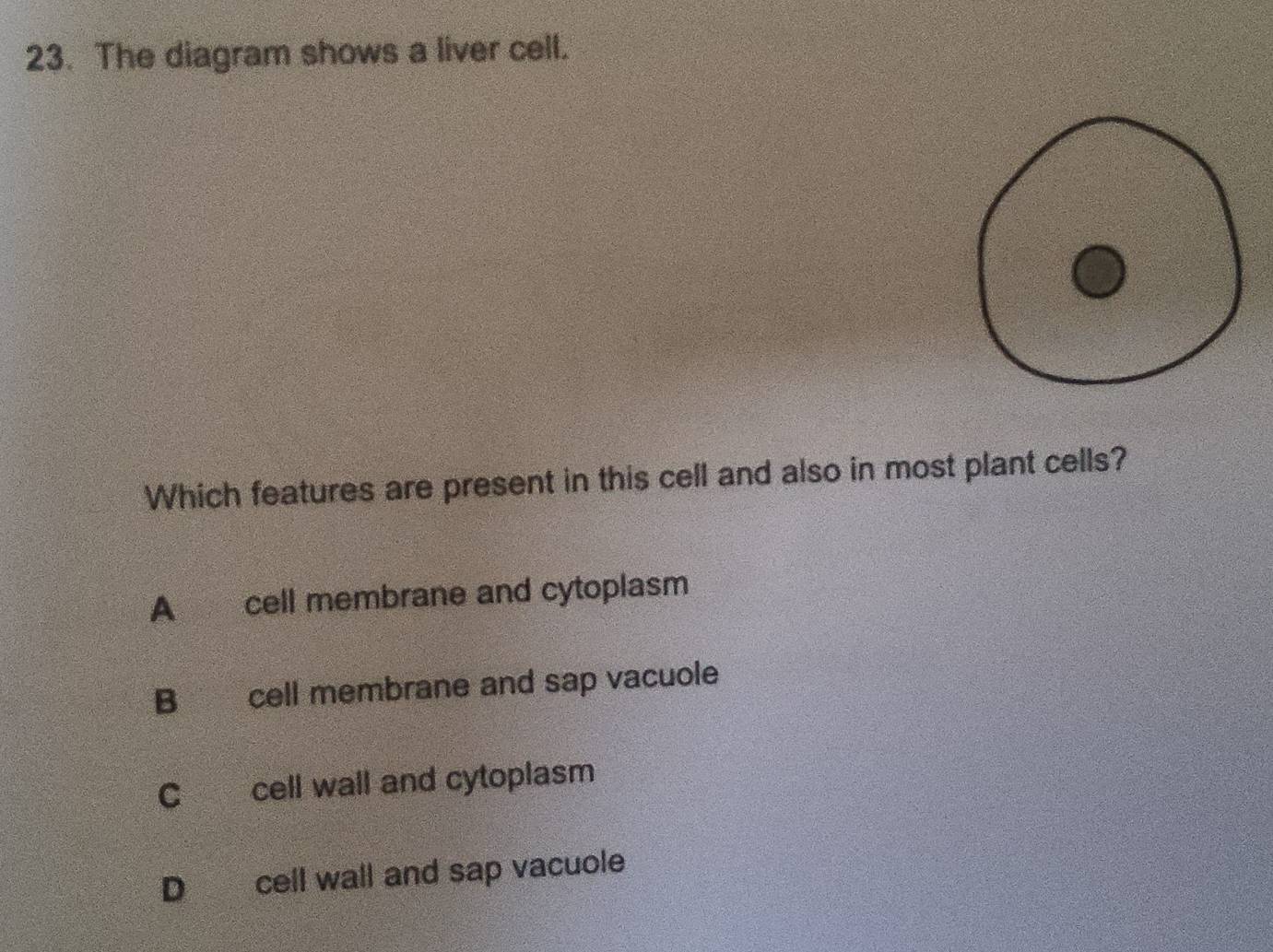 The diagram shows a liver cell.
Which features are present in this cell and also in most plant cells?
A cell membrane and cytoplasm
B cell membrane and sap vacuole
C cell wall and cytoplasm
D cell wall and sap vacuole