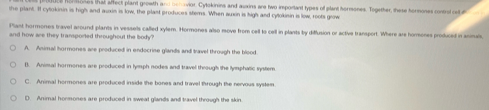 produce hormones that affect plant growth and behavior. Cytokinins and auxins are two important types of plant hormones. Together, these hormones control cell dt on 
the plant. If cytokinin is high and auxin is low, the plant produces stems. When auxin is high and cytokinin is low, roots grow
Plant hormones travel around plants in vessels called xylem. Hormones also move from cell to cell in plants by diffusion or active transport. Where are hormones produced in animals,
and how are they transported throughout the body?
A. Animal hormones are produced in endocrine glands and travel through the blood.
B. Animal hormones are produced in lymph nodes and travel through the lymphatic system.
C. Animal hormones are produced inside the bones and travel through the nervous system.
D. Animal hormones are produced in sweat glands and travel through the skin.