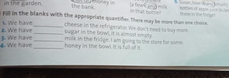 in the garden. 
a. Susan, how (Inany) much) 
ot of money in (a few any) milk bottles of apple juice (is /ar 
the bank. in that bottle? there in the fridge? 
Fill in the blanks with the appropriate quantifier. There may be more than one choice. 
1. We have 
_cheese in the refrigerator. We don't need to buy more. 
2. We have 
_sugar in the bowl, it is almost empty. 
3. We have_ 
milk in the fridge. I am going to the store for some. 
4. We have_ 
honey in the bowl. It is full of it.