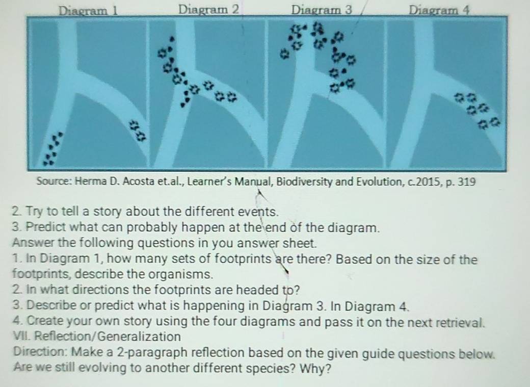 Diagram 2 Diagram 3 Diagram 4 
2. Try to tell a story about the different events. 
3. Predict what can probably happen at the end of the diagram. 
Answer the following questions in you answer sheet. 
1. In Diagram 1, how many sets of footprints are there? Based on the size of the 
footprints, describe the organisms. 
2. In what directions the footprints are headed to? 
3. Describe or predict what is happening in Diagram 3. In Diagram 4. 
4. Create your own story using the four diagrams and pass it on the next retrieval. 
VII. Reflection/Generalization 
Direction: Make a 2-paragraph reflection based on the given guide questions below. 
Are we still evolving to another different species? Why?