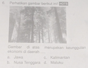 Perhatikan gambar berikut ini! HOTS
Gambar di atas merupakan keunggulan
ekonomi di daerah ….
a. Jawa c. Kalimantan
b. Nusa Tenggara d. Maluku