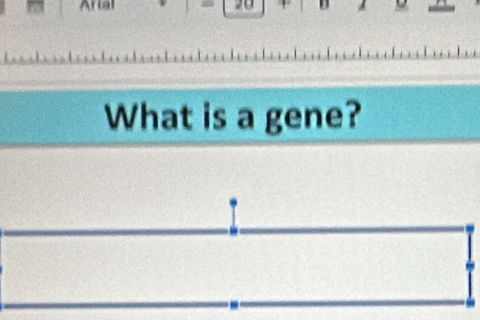 Arial 20 D 
What is a gene?