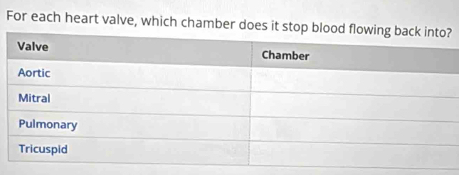 For each heart valve, which chamber does it