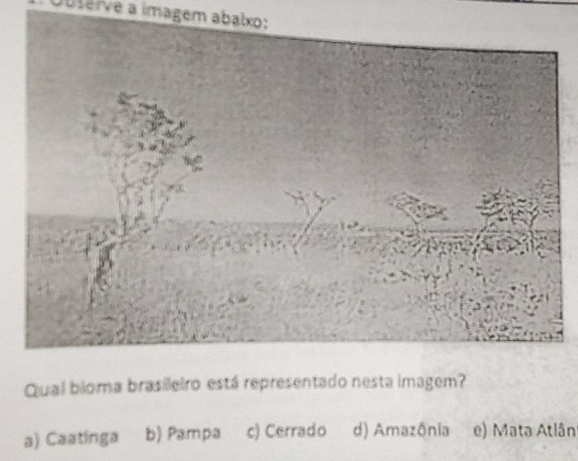 Obterve a imagem abalxo:
Qual bioma brasileiro está representado nesta imagem?
a) Caatinga b) Pampa c) Cerrado d) Amazônia e) Mata Atlân