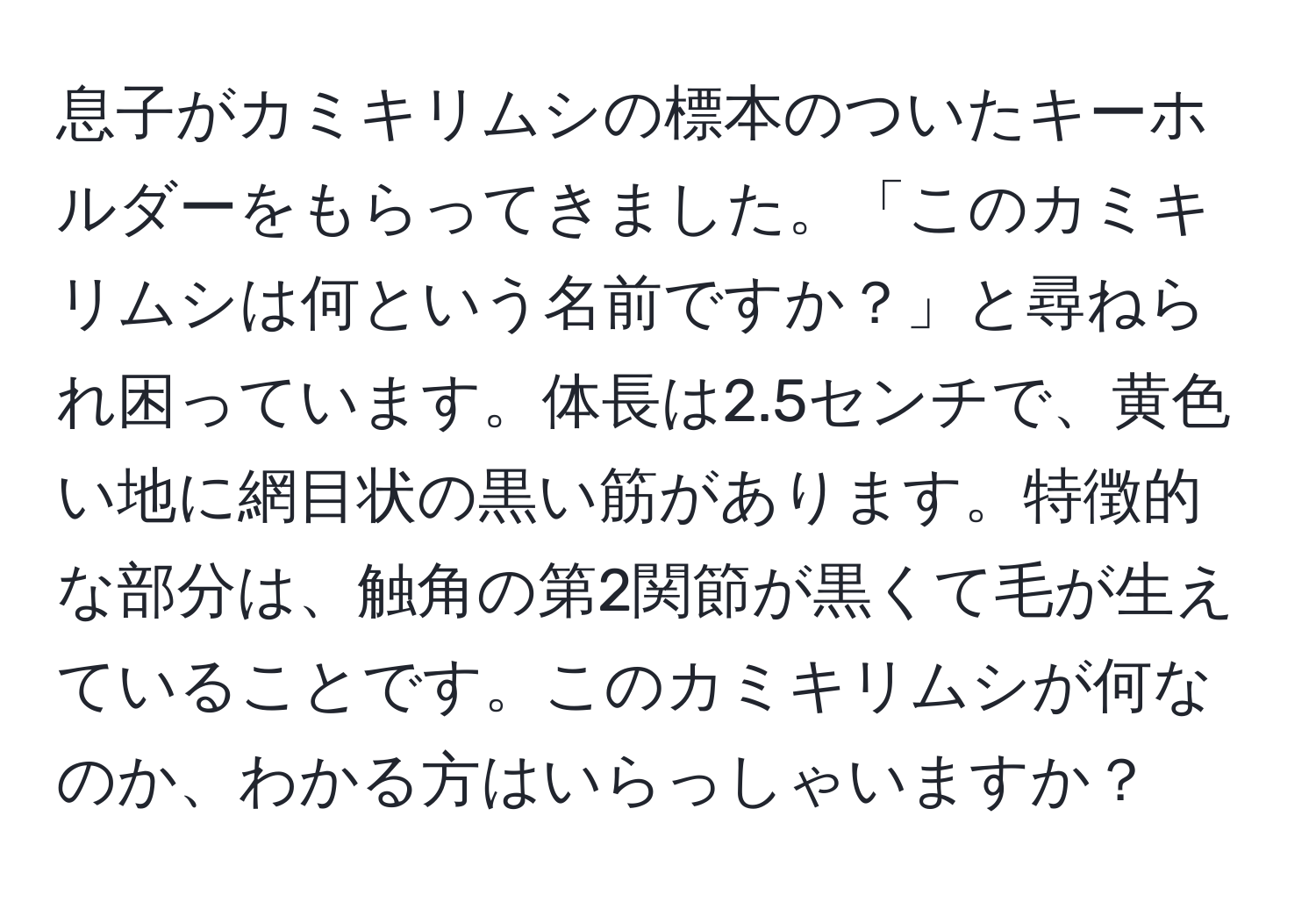 息子がカミキリムシの標本のついたキーホルダーをもらってきました。「このカミキリムシは何という名前ですか？」と尋ねられ困っています。体長は2.5センチで、黄色い地に網目状の黒い筋があります。特徴的な部分は、触角の第2関節が黒くて毛が生えていることです。このカミキリムシが何なのか、わかる方はいらっしゃいますか？