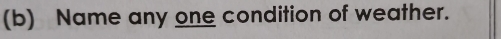 Name any one condition of weather.