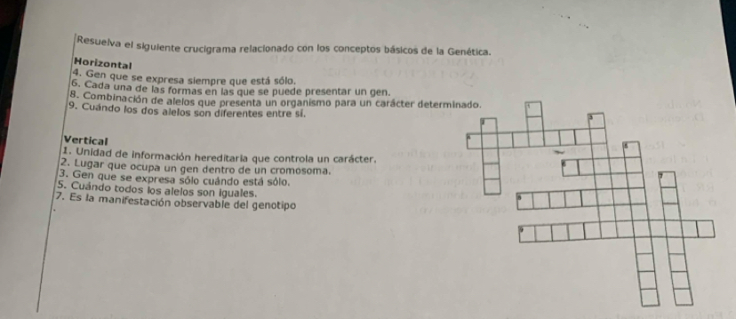 Resuelva el siguiente crucigrama relacionado con los conceptos básicos de la Genética. 
Horizontal 
4. Gen que se expresa siempre que está sólo. 
6. Cada una de las formas en las que se puede presentar un gen. 
8. Combinación de alelos que presenta un organismo para un carácter deter 
9. Cuándo los dos alelos son diferentes entre sí. 
Vertical 
1. Unidad de información hereditaria que controla un carácter. 
2. Lugar que ocupa un gen dentro de un cromósoma. 
3. Gen que se expresa sólo cuándo está sólo. 
5. Cuándo todos los alelos son iguales. 
7. Es la manifestación observable del genotipo