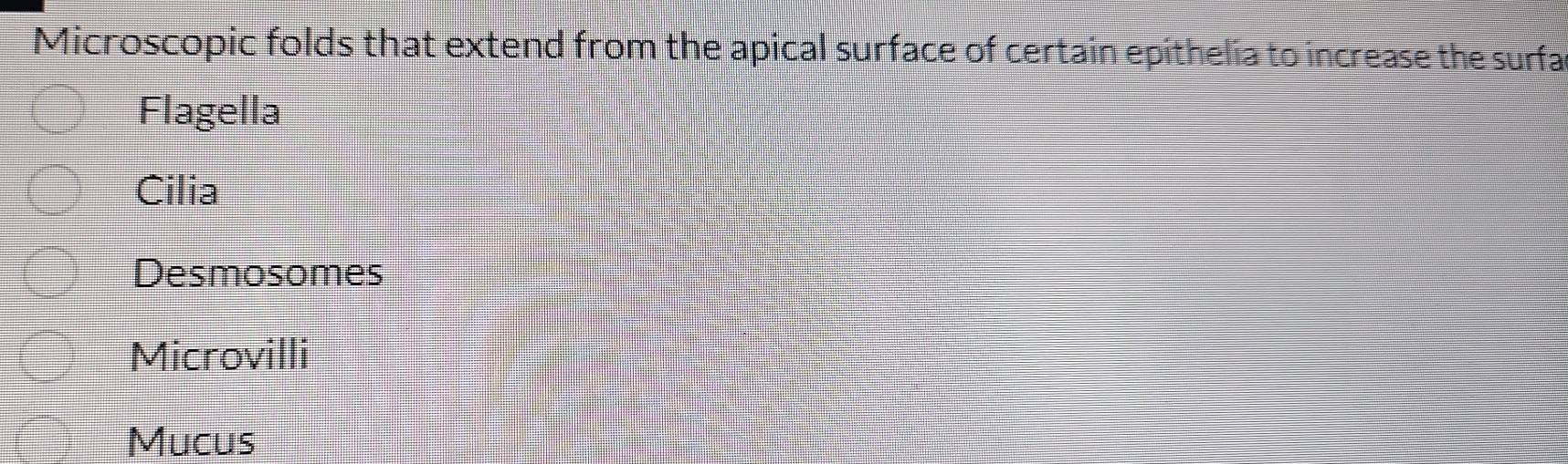 Microscopic folds that extend from the apical surface of certain epithelia to increase the surfa
Flagella
Cilia
Desmosomes
Microvilli
Mucus