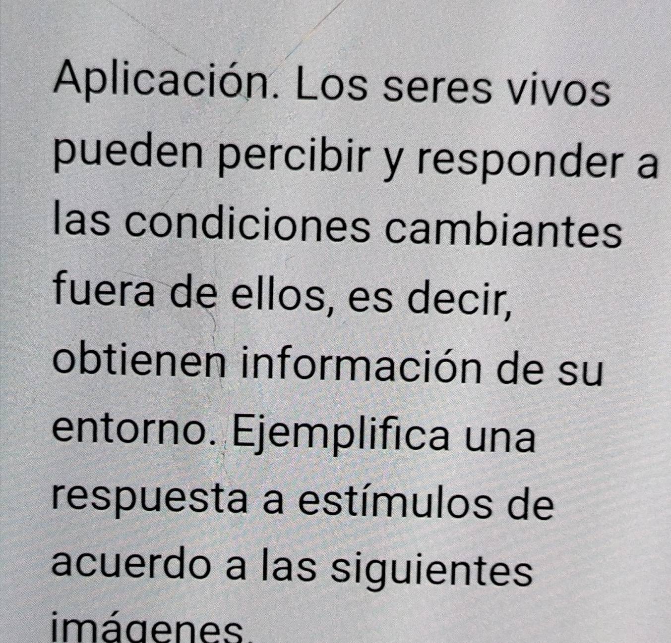 Aplicación. Los seres vivos 
pueden percibir y responder a 
las condiciones cambiantes 
fuera de ellos, es decir, 
obtienen información de su 
entorno. Ejemplifica una 
respuesta a estímulos de 
acuerdo a las siguientes 
imágenes.