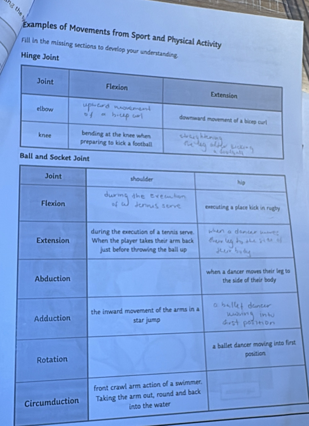 ng thị 
Examples of Movements from Sport and Physical Activity 
Fill in the missing sections to develop your understanding. 
Hinge Joint 
t