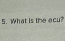 What is the ecu?