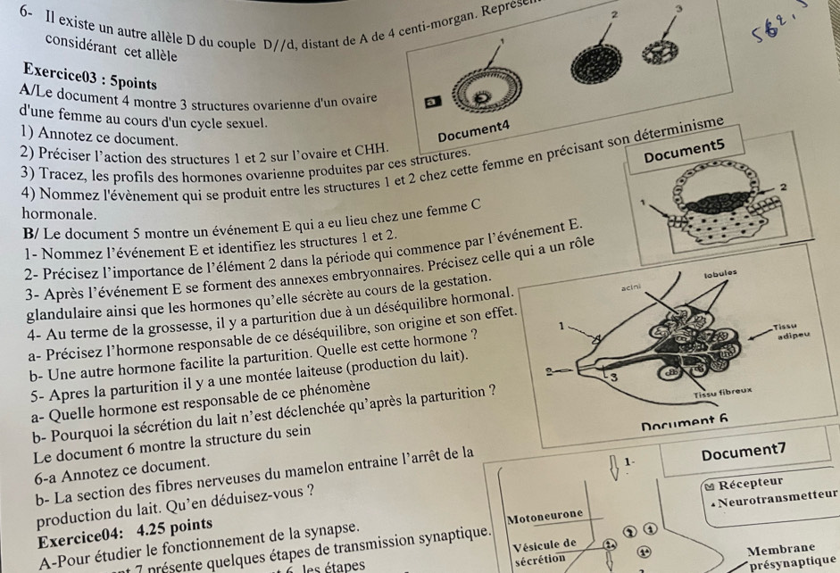 Résolu :3 6- Il existe un autre allèle D du couple D//d distant de A de ...