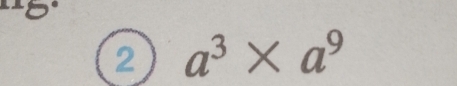 2 a^3* a^9