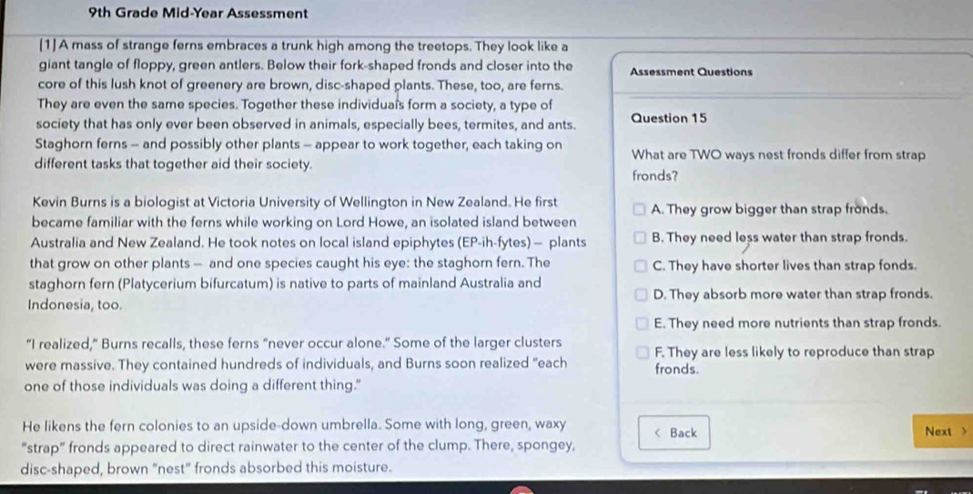 9th Grade Mid-Year Assessment
[1] A mass of strange ferns embraces a trunk high among the treetops. They look like a
giant tangle of floppy, green antlers. Below their fork-shaped fronds and closer into the Assessment Questions
core of this lush knot of greenery are brown, disc-shaped plants. These, too, are ferns.
They are even the same species. Together these individuals form a society, a type of
society that has only ever been observed in animals, especially bees, termites, and ants. Question 15
Staghorn ferns -- and possibly other plants - appear to work together, each taking on What are TWO ways nest fronds differ from strap
different tasks that together aid their society. fronds?
Kevin Burns is a biologist at Victoria University of Wellington in New Zealand. He first A. They grow bigger than strap fronds.
became familiar with the ferns while working on Lord Howe, an isolated island between
Australia and New Zealand. He took notes on local island epiphytes (EP-ih-fytes) — plants B. They need less water than strap fronds.
that grow on other plants — and one species caught his eye: the staghorn fern. The C. They have shorter lives than strap fonds.
staghorn fern (Platycerium bifurcatum) is native to parts of mainland Australia and
Indonesia, too. D. They absorb more water than strap fronds.
E. They need more nutrients than strap fronds.
"I realized," Burns recalls, these ferns “never occur alone." Some of the larger clusters F. They are less likely to reproduce than strap
were massive. They contained hundreds of individuals, and Burns soon realized “each fronds.
one of those individuals was doing a different thing."
He likens the fern colonies to an upside-down umbrella. Some with long, green, waxy Back
Next >
"strap" fronds appeared to direct rainwater to the center of the clump. There, spongey,
disc-shaped, brown “nest” fronds absorbed this moisture.