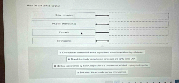 Match the term to the description
Sister chromatids
Daughter chromosomes
Chromatin
Chromosomes
# Chromosomes that results from the separation of sister chromatids during cell division
# Thread-like structures made up of condensed and lightly coiled DNA.
# Identical copies formed by the DNA replication of a chromosome, with both copies joined together
# DNA when it is not condensed into chromosomes
1n