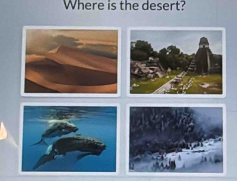 Where is the desert?