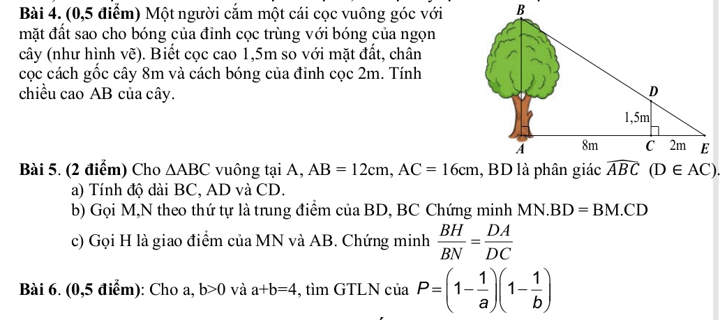 (0,5 điểm) Một người cắm một cái cọc vuông góc với
mặt đất sao cho bóng của đỉnh cọc trùng với bóng của ngọn
(cây (như hình vẽ). Biết cọc cao 1,5m so với mặt đất, chân
cọc cách gốc cây 8m và cách bóng của đỉnh cọc 2m. Tính
chiều cao AB của cây.
Bài 5. (2 điểm) Cho △ ABC vuông tại A, AB=12cm,AC=16cm
a) Tính độ dài BC, AD và CD.
b) Gọi M,N theo thứ tự là trung điểm của BD, BC Chứng minh MN.. BD=BM.CD
c) Gọi H là giao điểm của MN và AB. Chứng minh  BH/BN = DA/DC 
Bài 6. (0,5 điểm): Cho a, b>0 và a+b=4 , tìm GTLN ciaP=(1- 1/a )(1- 1/b )