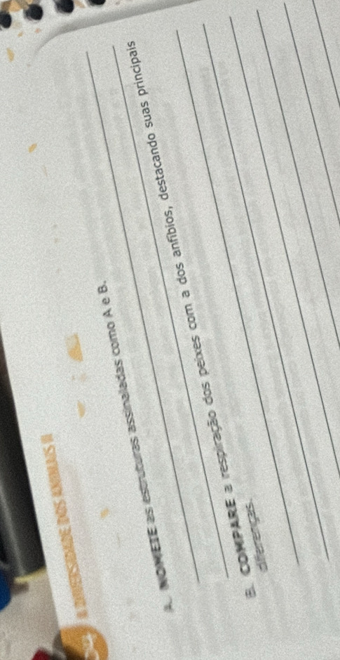 DIVERSIADE DOS ANIMAIS II 
A NOMETE as estruturas assinaladas como A e B. 
_ 
_ 
_ 
E CONPARE a respiração dos peixes com a dos anfíbios, destacando suas principais 
diferenças. 
_