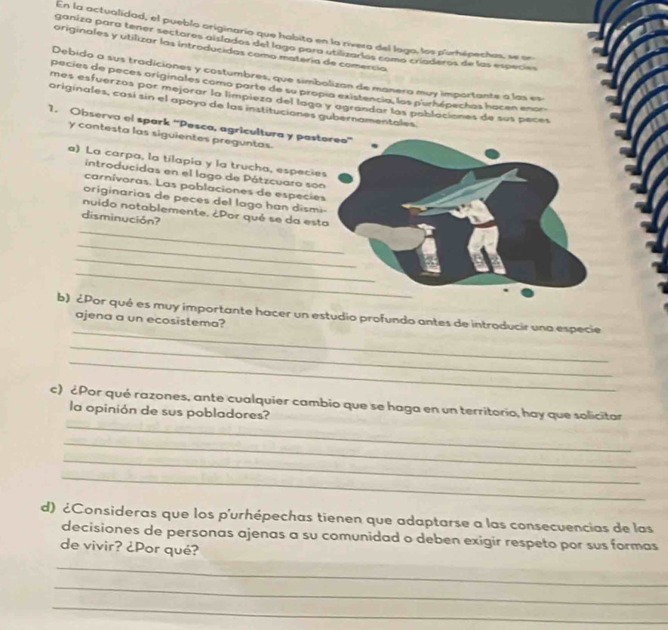 En la actualidad, el pueblo originario que habito en la rivera del lago, los pinhépechas, se un 
ganiza para tener sectares aislados del lago para utilizarlos como criaderos de las especies 
originales y utilizar las introducidas como matería de comercía 
Debido a sus tradiciones y costumbres, que simbolizan de manero muy importante a las es 
pecies de peces originales como parte de su propia existencia, los purhépechas hacen enon 
mes esfuerzos por mejorar la límpieza del lago y agrandar las poblaciones de sus peces 
originales, casí sin el apoyo de las instituciones gubernamentales. 
1. Observa el spark ''Pesca, agricultura y pastoreo' 
y contesta las siguientes preguntas. 
a) La carpa, la tilapia y la trucha, especies 
introducidas en el lago de Pátzcuaro son 
carnívoras. Las poblaciones de especies 
originarias de peces del lago han dismi- 
_ 
nuido notablemente. ¿Por qué se da esta 
disminución? 
_ 
_ 
_ 
_ 
b) ¿Por qué es muy importante hacer un estudio profundo antes de introducir una especie 
ajena a un ecosistema? 
_ 
_ 
_ 
c) ¿Por qué razones, ante cualquier cambio que se haga en un territorio, hay que solicitar 
la opinión de sus pobladores? 
_ 
_ 
_ 
d) ¿Consideras que los p'urhépechas tienen que adaptarse a las consecuencias de las 
decisiones de personas ajenas a su comunidad o deben exigir respeto por sus formas 
de vivir? ¿Por qué? 
_ 
_ 
_