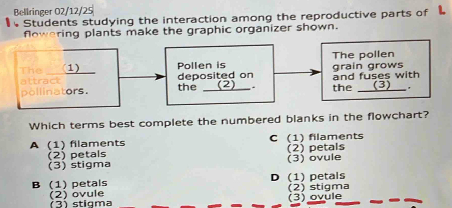 Bellringer 02/12/25
•Students studying the interaction among the reproductive parts of 
flowering plants make the graphic organizer shown.
The pollen
The (1) Pollen is
attract deposited on grain grows
and fuses with
pollinators. the _(2)_ . the _(3)_ .
Which terms best complete the numbered blanks in the flowchart?
A (1) filaments C (1) filaments
(2) petals (2) petals
(3) stigma (3) ovule
B (1) petals D (1) petals
(2) ovule (2) stigma
(3) stigma (3) ovule