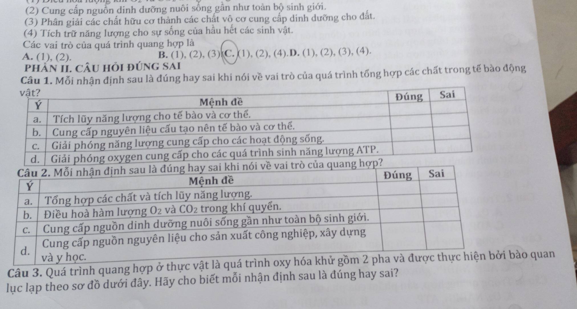 (2) Cung cấp nguồn dinh dưỡng nuôi sống gần như toàn bộ sinh giới.
(3) Phân giải các chất hữu cơ thành các chất vô cơ cung cấp dinh dưỡng cho đất.
(4) Tích trữ năng lượng cho sự sống của hầu hết các sinh vật.
Các vai trò của quá trình quang hợp là
A. (1), (2). B. (1), (2), (3) C. (1), (2), (4).D. (1), (2), (3), (4).
pHÂN II. CÂU Hỏi đÚNG SAi
Câu 1. Mỗi nhận định sau là đúng hay sai khi nói về vai trò của quá trình tổng hợp các chất trong tế bào động
Câu 3. Quá trình quang hợp ở thực v quan
lục lạp theo sơ đồ dưới đây. Hãy cho biết mỗi nhận định sau là đúng hay sai?