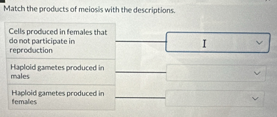 Match the products of meiosis with the descriptions. 
Cells produced in females that 
do not participate in I 
reproduction 
Haploid gametes produced in 
males 
Haploid gametes produced in 
females