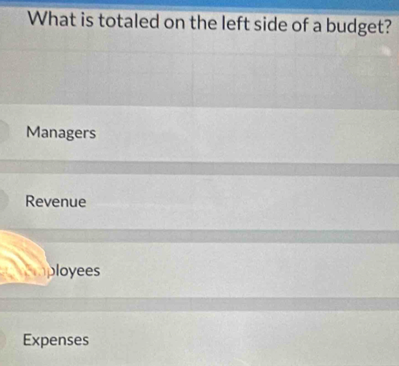 What is totaled on the left side of a budget?
Managers
Revenue
Cmployees
Expenses