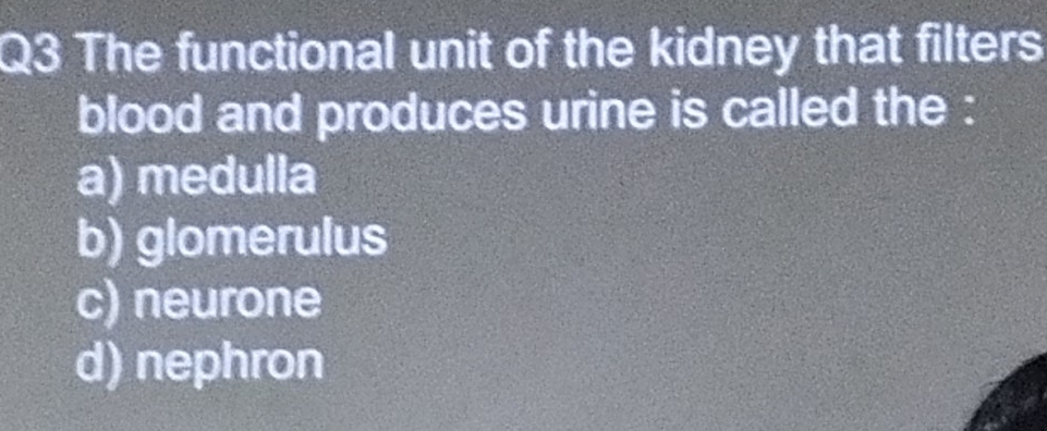 The functional unit of the kidney that filters
blood and produces urine is called the :
a) medulla
b) glomerulus
c) neurone
d) nephron