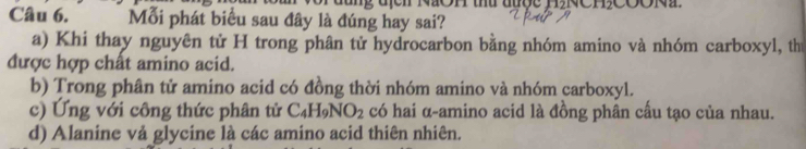 đc NOH tứ tược H₂NCHCCON
Câu 6. Mỗi phát biểu sau đây là đúng hay sai?
a) Khi thay nguyên tử H trong phân tử hydrocarbon bằng nhóm amino và nhóm carboxyl, th
được hợp chât amino acid.
b) Trong phân tử amino acid có đồng thời nhóm amino và nhóm carboxyl.
c) Ứng với công thức phân tử C_4H_9NO_2 có hai α-amino acid là đồng phân cấu tạo của nhau.
d) Alanine vå glycine là các amino acid thiên nhiên.