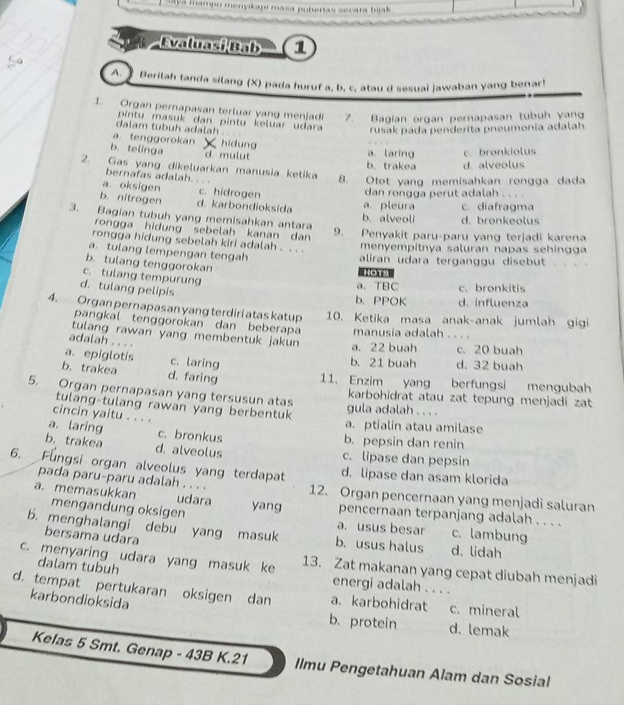 ava mampu menvikapí masa pubertas secara bijak
Evaluasi Bab 1
A.  Berilah tanda silang (X) pada huruf a, b, c, atau d sesuai jawaban yang benar!
1. Organ pernapasan terluar yang menjadi 7. Bagian organ pernapasan tubuh yan
pintu masuk dan pintu keluar u dara 
dalam tubuh adalah rusak pada penderita pneumonia adalah
atenggorokan hidung
b. telinga d mulut
a laring c.bronkiolus
b. trakea d. alveolus
2. Gas yang dikeluarkan manusia ketika 8. Otot yang memisahkan rongga dada
bernafas adalah
a. oksigen c. hidrogen
dan rongga perut adalah . . . .
b. nitrogen d. karbondioksida a pleura c. diafragma
3. Bagian tubuh yang memisahkan antara b. alveoli d. bronkeolus
rongga hidung sebelah kanan dan 9. Penyakit paru-paru yang terjadi karena
rongga hidung sebelah kiri adalah . . . .
menyempitnya saluran napas sehingga
a. tulang lempengan tengah
aliran udara terganggu disebut
b. tulang tenggorokan
HOTS
c. tulang tempurung
d. tulang pelipis
a、 TBC c. bronkitis
b、PPOK d. influenza
4. Organ pernapasan yang terdiri atas katup 10. Ketika masa anak-anak jumlah gigi
pangkal tenggorokan dan beberapa manusia adalah
tulang rawan yang membentuk jakun a. 22 buah c. 20 buah
adalah . . . .
a. epiglotis c. laring b. 21 buah d. 32 buah
b. trakea d. faring 11. Enzim yang berfungsi mengubah
5. Organ pernapasan yang tersusun atas gula adalah . . . .
karbohidrat atau zat tepung menjadi zat
tulang-tulang rawan yang berbentuk a. ptialin atau amilase
cincin yaitu . . . .
a. laring c. bronkus b.pepsin dan renin
b. trakea d. alveolus c. lipase dan pepsin
6. Fungsi organ alveolus yang terdapat d. lipase dan asam klorida
pada paru-paru adalah . . . . 12. Organ pencernaan yang menjadi saluran
a. memasukkan udara yang pencernaan terpanjang adalah . . . .
mengandung oksigen a. usus besar c. lambung
b. menghalangi debu yang masuk b. usus halus d. lidah
bersama udara
c. menyaring udara yang masuk ke 13. Zat makanan yang cepat diubah menjadi
dalam tubuh energi adalah . . . .
d. tempat pertukaran oksigen dan a. karbohidrat c. mineral
karbondioksida
b. protein d. lemak
Kelas 5 Smt. Genap - 43B K.21 Ilmu Pengetahuan Alam dan Sosial