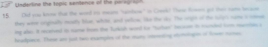 Underline the topic sentence of the paragraph. 
15. Did you know that the word iris means "raibow" in Greek? These flowers got thei name because 
they were originally mostly blue, white, and vellow; like the sky. The origin of the tulip's name s onest 
ing also. It received its name from the Turkish word for "turban" because its rounded form rewmbes a 
headpiece. These are just two examples of the many interesting etymologies of flower numes